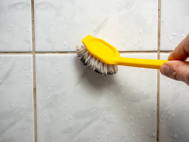 Best Certified Mold Removal  in Shamokin Dam, PA