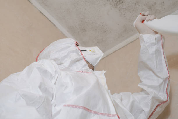 Best Attic Mold Removal  in Shamokin Dam, PA